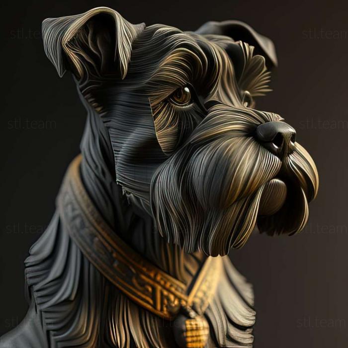 Zwergschnauzer dog